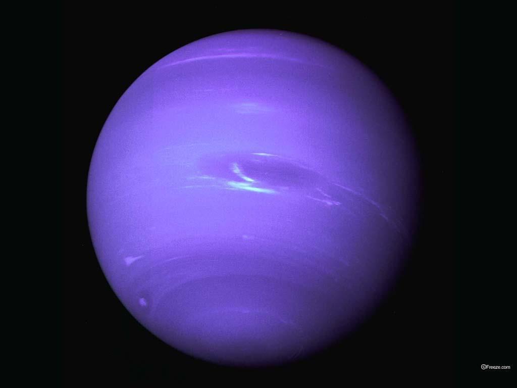 dw-NEPTUNE_l.jpg